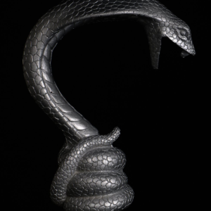 Shisha Animal Cobra